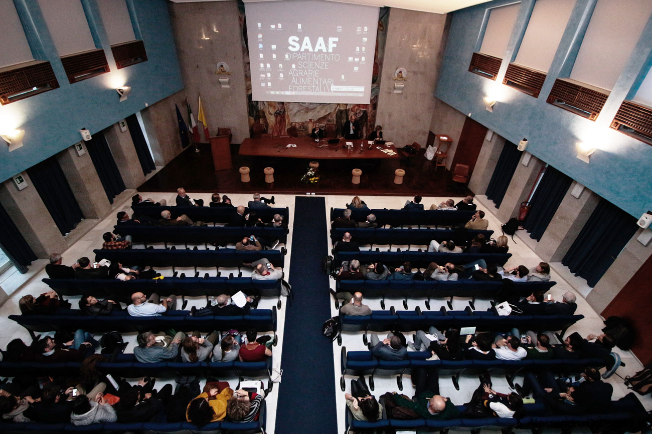 Assemblea dei Soci SISEF in Aula Magna del Dip.to SAAF dell'Università di Palermo