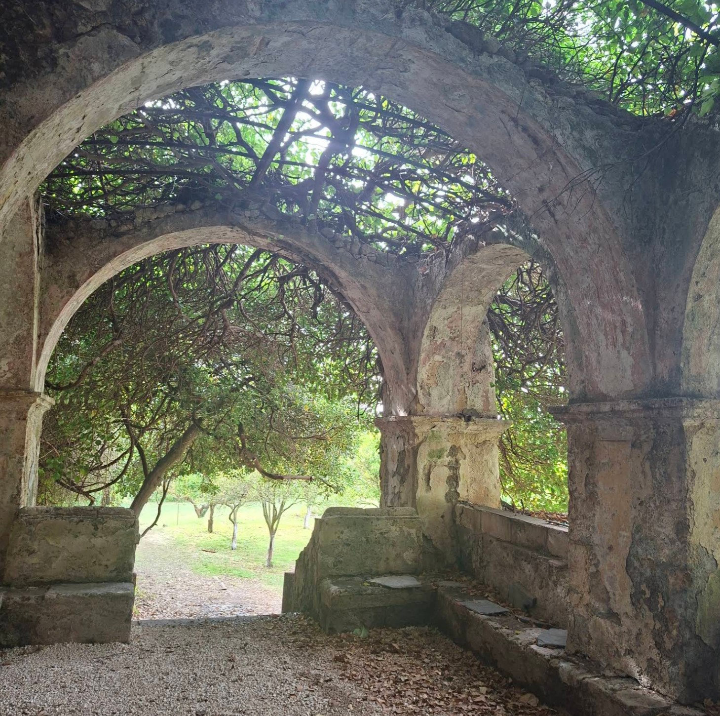 Orto di San Pietro, Piazza San Pietro, Sassari